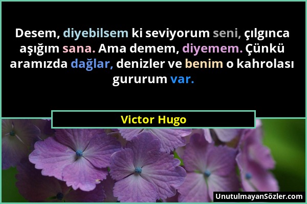 Victor Hugo - Desem, diyebilsem ki seviyorum seni, çılgınca aşığım sana. Ama demem, diyemem. Çünkü aramızda dağlar, denizler ve benim o kahrolası guru...