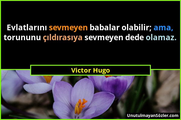 Victor Hugo - Evlatlarını sevmeyen babalar olabilir; ama, torununu çıldırasıya sevmeyen dede olamaz....