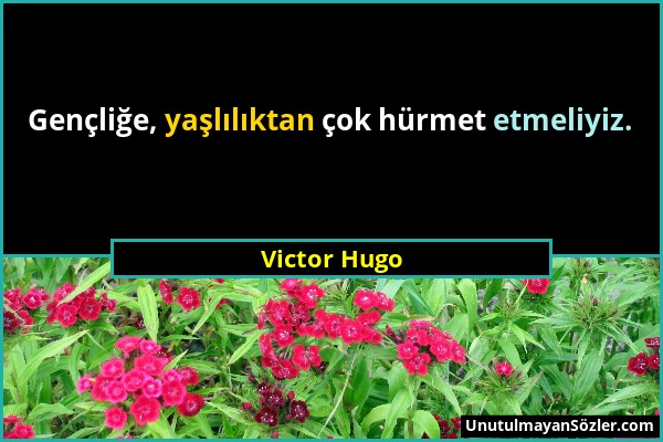 Victor Hugo - Gençliğe, yaşlılıktan çok hürmet etmeliyiz....