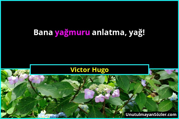 Victor Hugo - Bana yağmuru anlatma, yağ!...