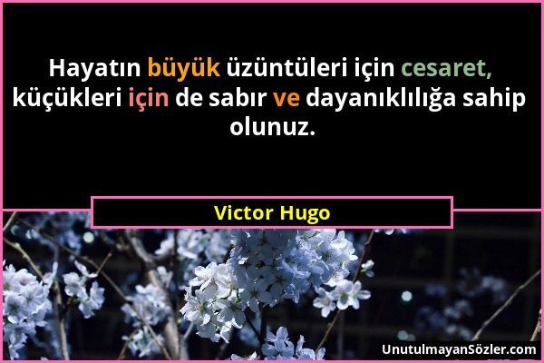 Victor Hugo - Hayatın büyük üzüntüleri için cesaret, küçükleri için de sabır ve dayanıklılığa sahip olunuz....
