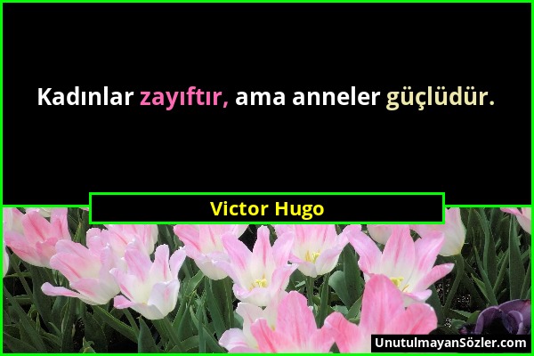 Victor Hugo - Kadınlar zayıftır, ama anneler güçlüdür....
