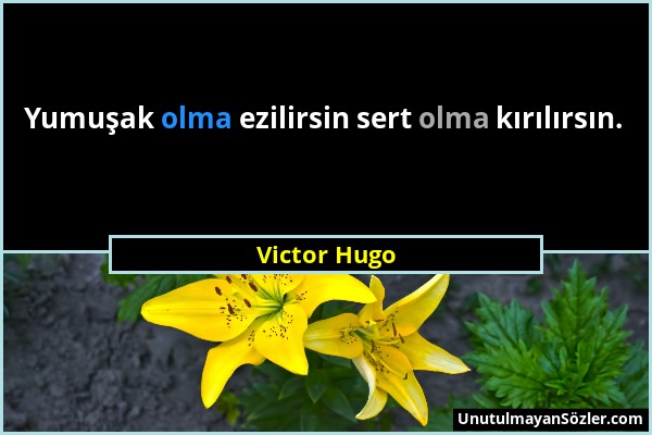Victor Hugo - Yumuşak olma ezilirsin sert olma kırılırsın....