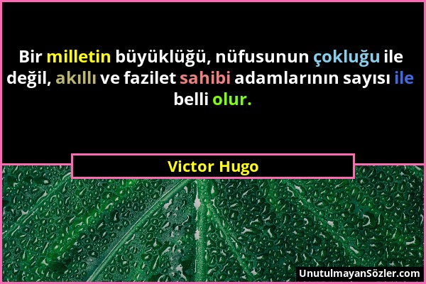 Victor Hugo - Bir milletin büyüklüğü, nüfusunun çokluğu ile değil, akıllı ve fazilet sahibi adamlarının sayısı ile belli olur....