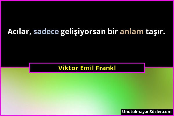Viktor Emil Frankl - Acılar, sadece gelişiyorsan bir anlam taşır....