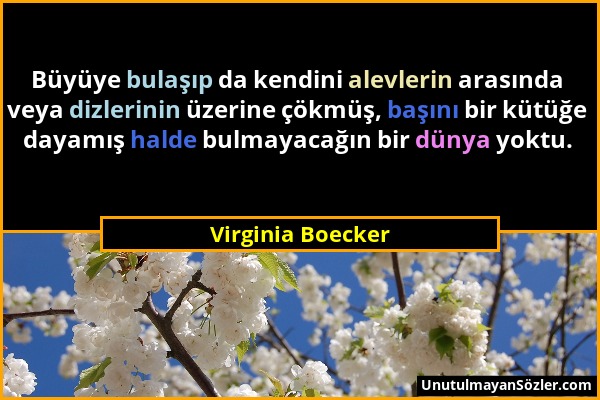 Virginia Boecker - Büyüye bulaşıp da kendini alevlerin arasında veya dizlerinin üzerine çökmüş, başını bir kütüğe dayamış halde bulmayacağın bir dünya...