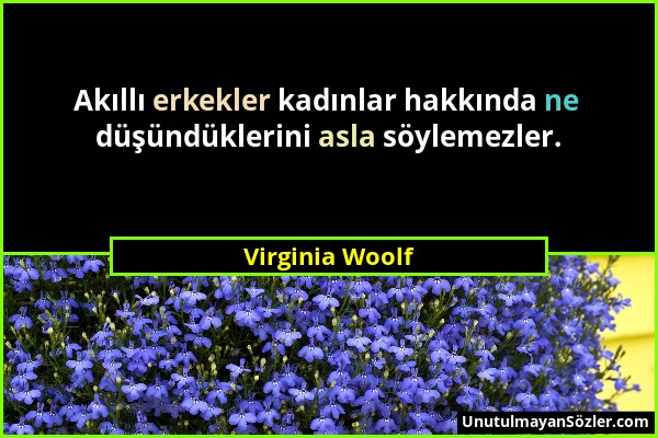 Virginia Woolf - Akıllı erkekler kadınlar hakkında ne düşündüklerini asla söylemezler....