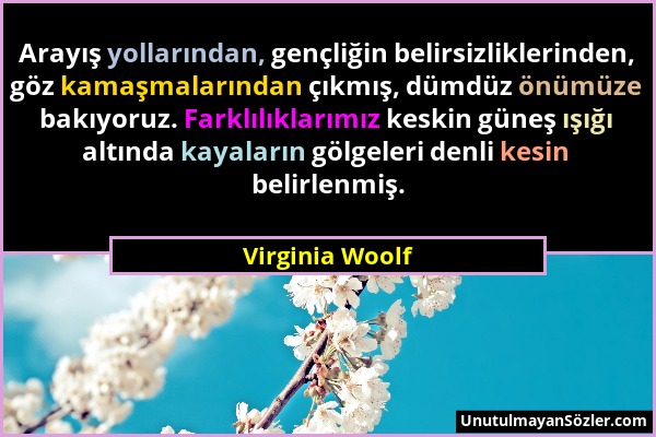Virginia Woolf - Arayış yollarından, gençliğin belirsizliklerinden, göz kamaşmalarından çıkmış, dümdüz önümüze bakıyoruz. Farklılıklarımız keskin güne...