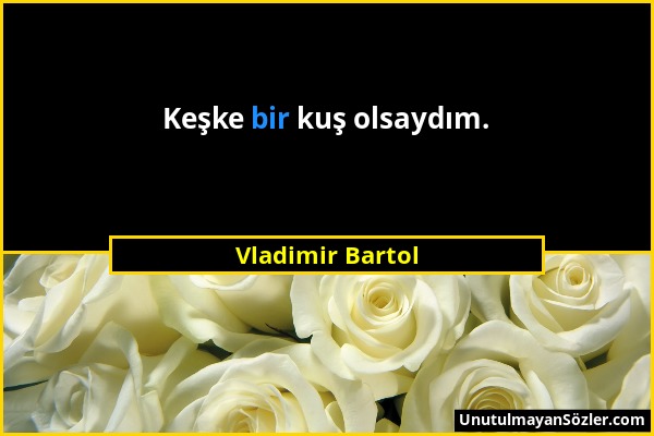 Vladimir Bartol - Keşke bir kuş olsaydım....