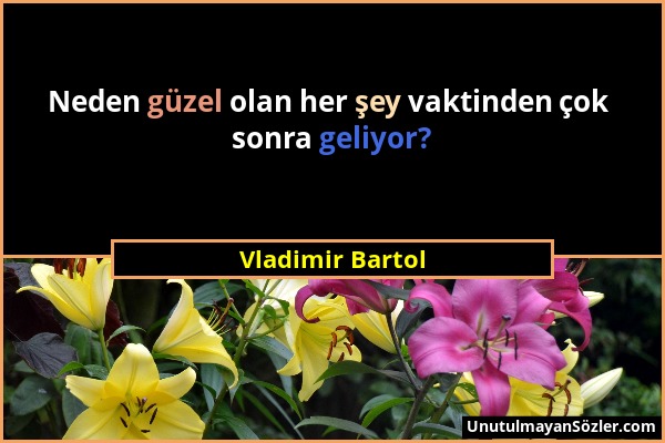 Vladimir Bartol - Neden güzel olan her şey vaktinden çok sonra geliyor?...