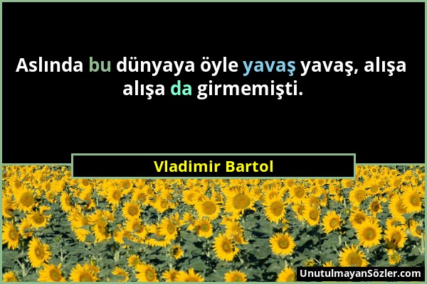 Vladimir Bartol - Aslında bu dünyaya öyle yavaş yavaş, alışa alışa da girmemişti....