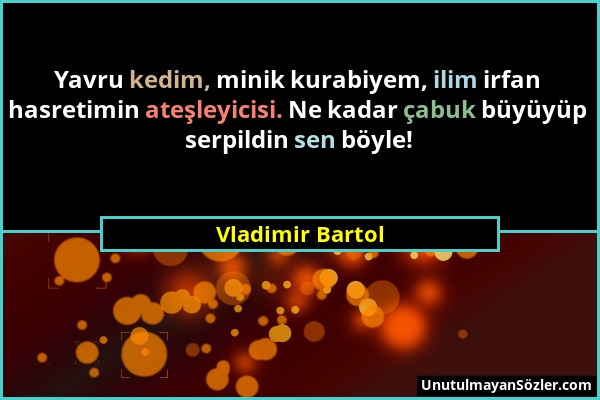 Vladimir Bartol - Yavru kedim, minik kurabiyem, ilim irfan hasretimin ateşleyicisi. Ne kadar çabuk büyüyüp serpildin sen böyle!...