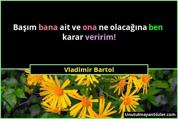 Vladimir Bartol - Başım bana ait ve ona ne olacağına ben karar veririm!...