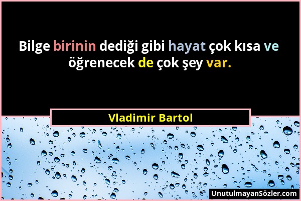 Vladimir Bartol - Bilge birinin dediği gibi hayat çok kısa ve öğrenecek de çok şey var....