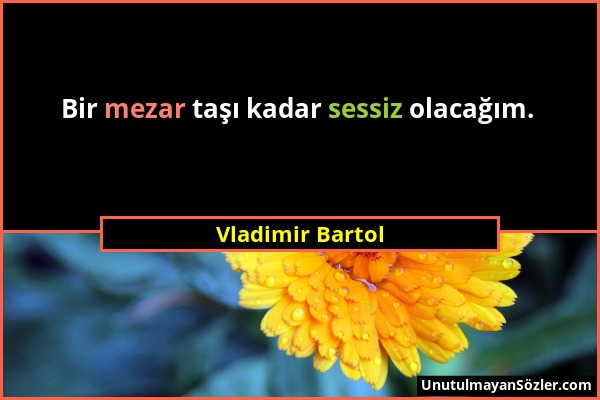 Vladimir Bartol - Bir mezar taşı kadar sessiz olacağım....