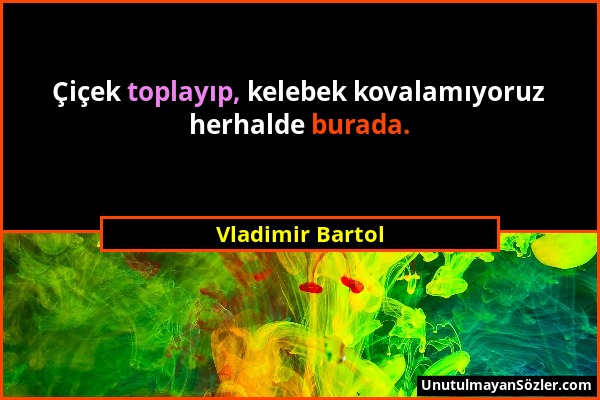 Vladimir Bartol - Çiçek toplayıp, kelebek kovalamıyoruz herhalde burada....