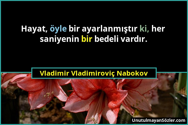Vladimir Vladimiroviç Nabokov - Hayat, öyle bir ayarlanmıştır ki, her saniyenin bir bedeli vardır....