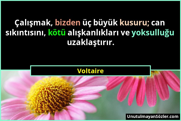 Voltaire - Çalışmak, bizden üç büyük kusuru; can sıkıntısını, kötü alışkanlıkları ve yoksulluğu uzaklaştırır....