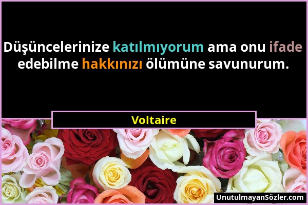 Voltaire - Düşüncelerinize katılmıyorum ama onu ifade edebilme hakkınızı ölümüne savunurum....