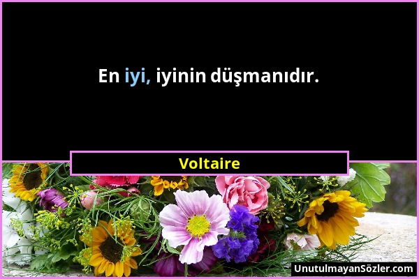 Voltaire - En iyi, iyinin düşmanıdır....