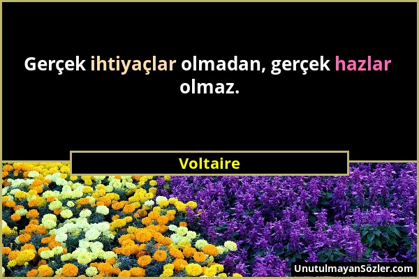 Voltaire - Gerçek ihtiyaçlar olmadan, gerçek hazlar olmaz....