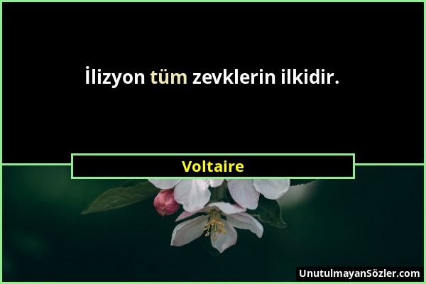 Voltaire - İlizyon tüm zevklerin ilkidir....