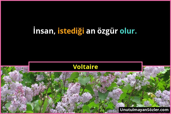 Voltaire - İnsan, istediği an özgür olur....