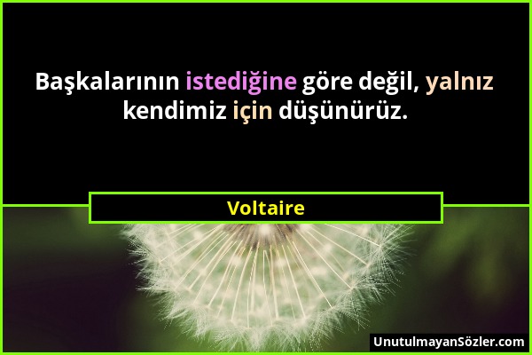 Voltaire - Başkalarının istediğine göre değil, yalnız kendimiz için düşünürüz....