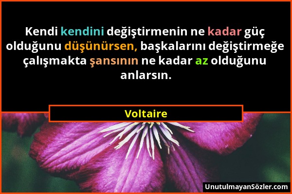 Voltaire - Kendi kendini değiştirmenin ne kadar güç olduğunu düşünürsen, başkalarını değiştirmeğe çalışmakta şansının ne kadar az olduğunu anlarsın....