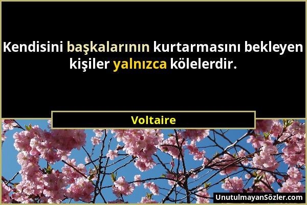 Voltaire - Kendisini başkalarının kurtarmasını bekleyen kişiler yalnızca kölelerdir....