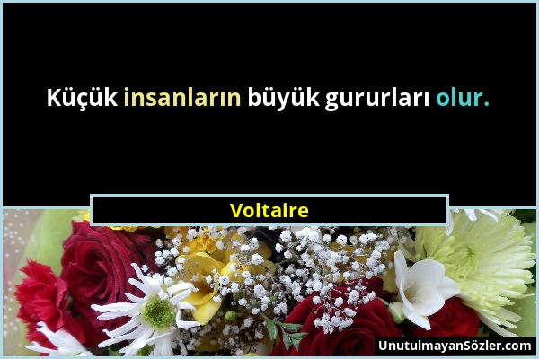 Voltaire - Küçük insanların büyük gururları olur....