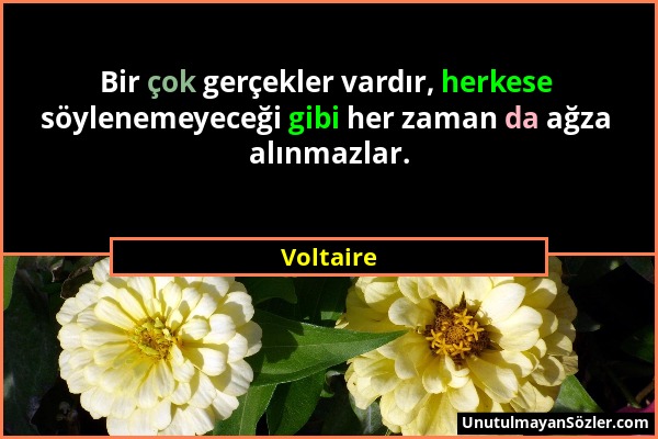 Voltaire - Bir çok gerçekler vardır, herkese söylenemeyeceği gibi her zaman da ağza alınmazlar....