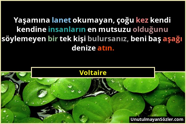 Voltaire - Yaşamına lanet okumayan, çoğu kez kendi kendine insanların en mutsuzu olduğunu söylemeyen bir tek kişi bulursanız, beni baş aşağı denize at...