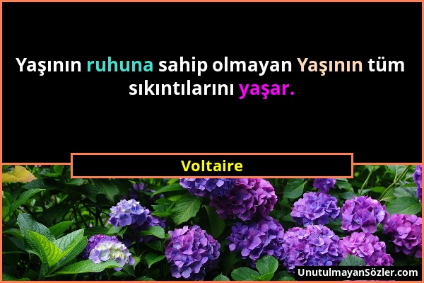 Voltaire - Yaşının ruhuna sahip olmayan Yaşının tüm sıkıntılarını yaşar....