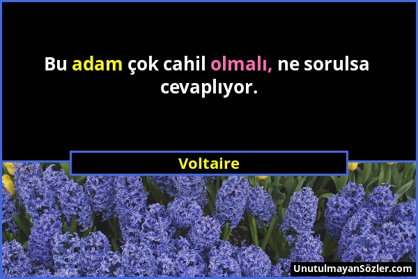 Voltaire - Bu adam çok cahil olmalı, ne sorulsa cevaplıyor....