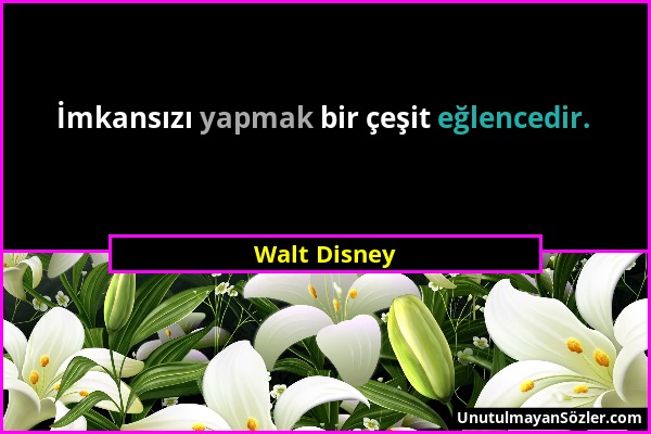 Walt Disney - İmkansızı yapmak bir çeşit eğlencedir....