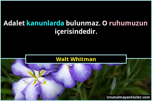 Walt Whitman - Adalet kanunlarda bulunmaz. O ruhumuzun içerisindedir....