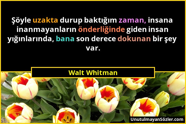 Walt Whitman - Şöyle uzakta durup baktığım zaman, insana inanmayanların önderliğinde giden insan yığınlarında, bana son derece dokunan bir şey var....