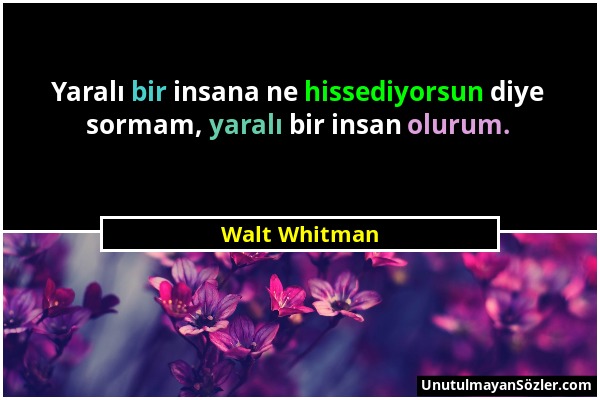 Walt Whitman - Yaralı bir insana ne hissediyorsun diye sormam, yaralı bir insan olurum....