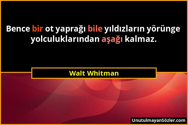 Walt Whitman - Bence bir ot yaprağı bile yıldızların yörünge yolculuklarından aşağı kalmaz....