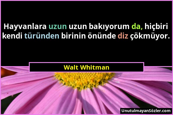 Walt Whitman - Hayvanlara uzun uzun bakıyorum da, hiçbiri kendi türünden birinin önünde diz çökmüyor....