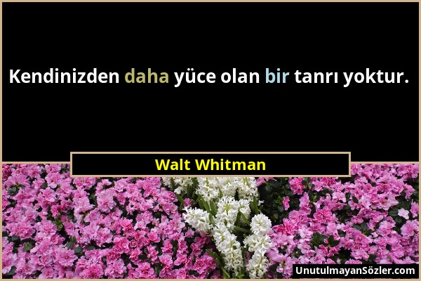 Walt Whitman - Kendinizden daha yüce olan bir tanrı yoktur....