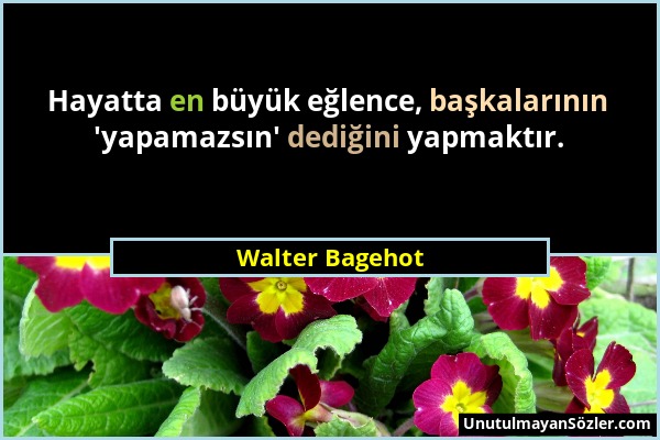 Walter Bagehot - Hayatta en büyük eğlence, başkalarının 'yapamazsın' dediğini yapmaktır....