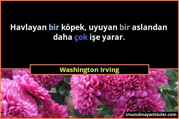 Washington Irving - Havlayan bir köpek, uyuyan bir aslandan daha çok işe yarar....