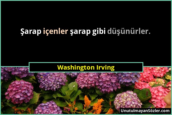 Washington Irving - Şarap içenler şarap gibi düşünürler....