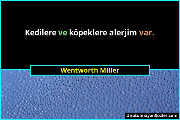 Wentworth Miller - Kedilere ve köpeklere alerjim var....