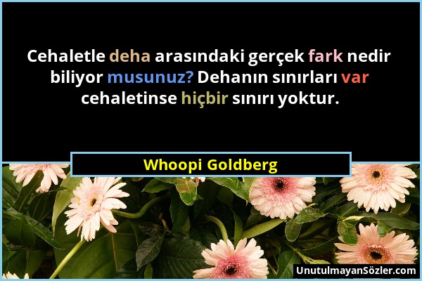 Whoopi Goldberg - Cehaletle deha arasındaki gerçek fark nedir biliyor musunuz? Dehanın sınırları var cehaletinse hiçbir sınırı yoktur....