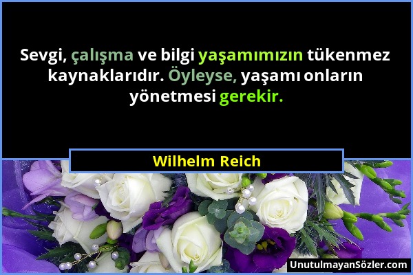 Wilhelm Reich - Sevgi, çalışma ve bilgi yaşamımızın tükenmez kaynaklarıdır. Öyleyse, yaşamı onların yönetmesi gerekir....