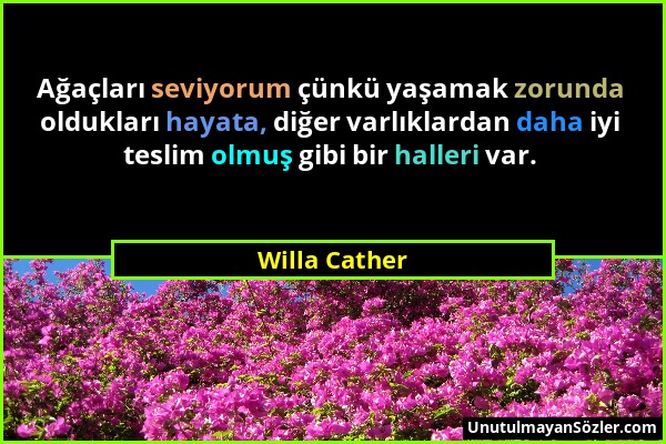 Willa Cather - Ağaçları seviyorum çünkü yaşamak zorunda oldukları hayata, diğer varlıklardan daha iyi teslim olmuş gibi bir halleri var....