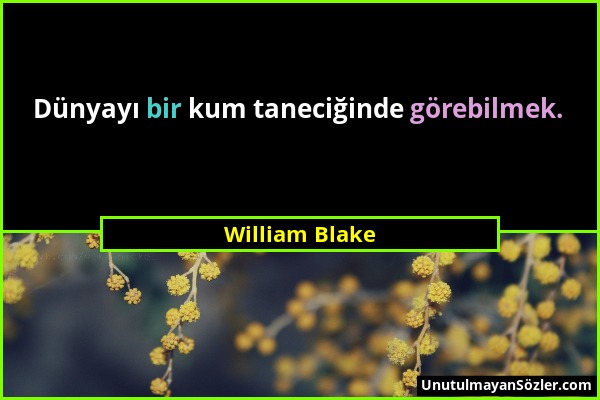 William Blake - Dünyayı bir kum taneciğinde görebilmek....